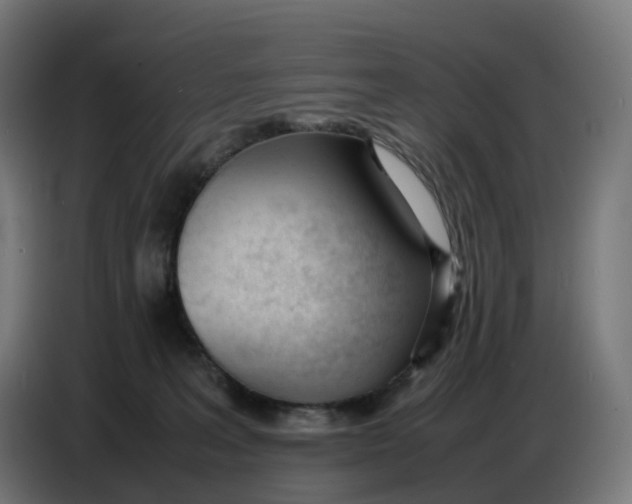 X0000086720227200705041334