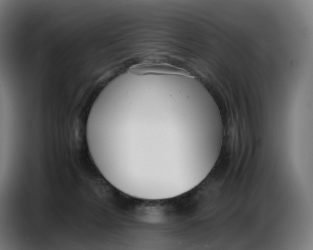 X0000086720228200705041334