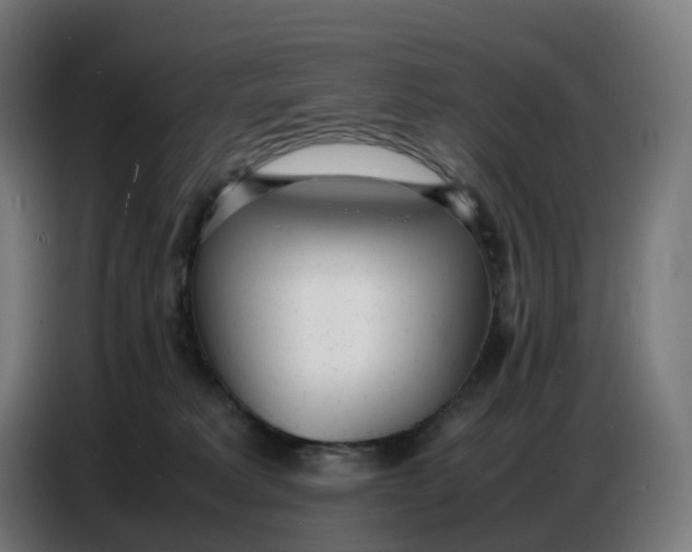 X0000086720229200705041334