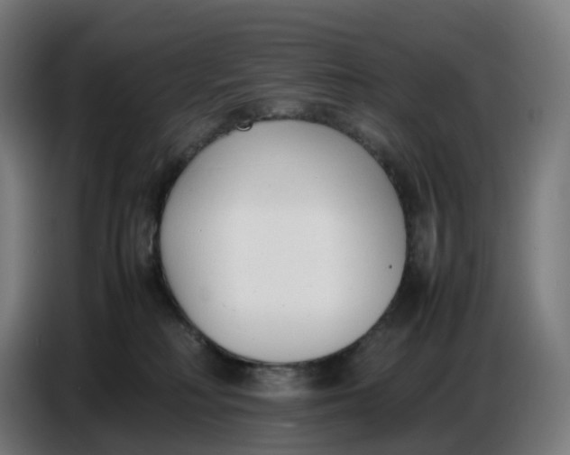 X0000086720230200705041334