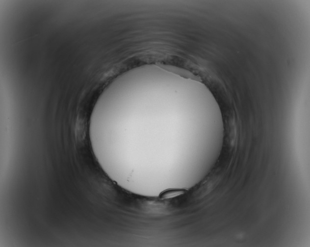 X0000086720232200705041334