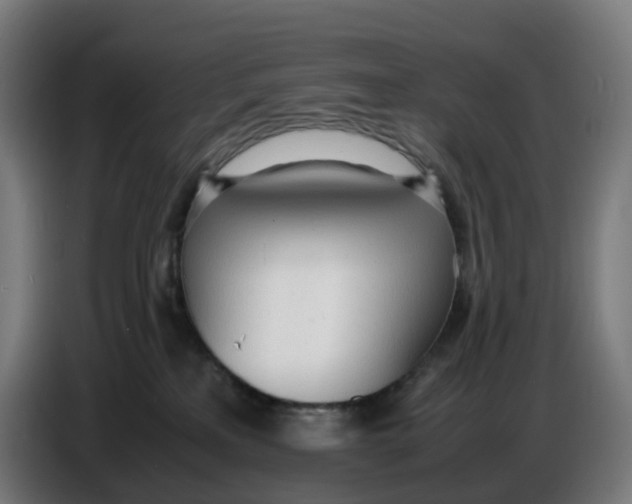 X0000086720233200705041334