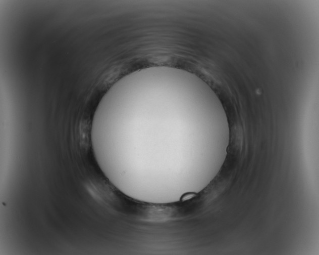 X0000086720234200705041334
