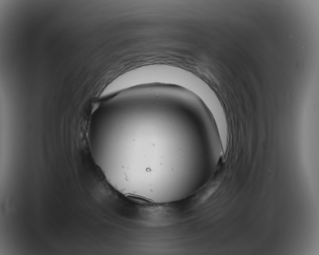 X0000086720237200705041334