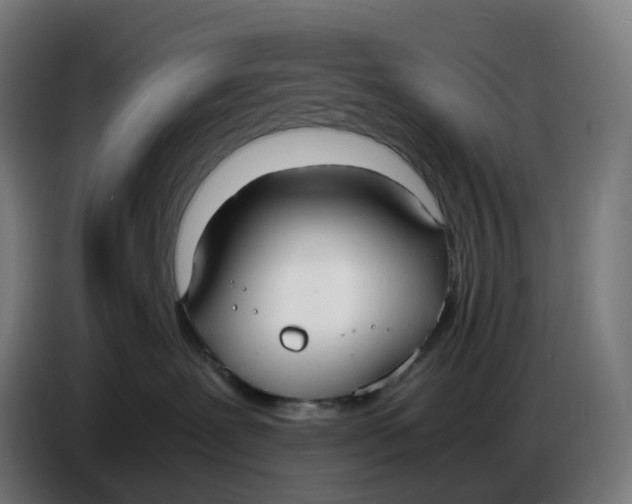 X0000086720239200705041334