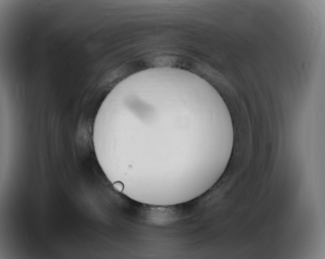 X0000086720240200705041334
