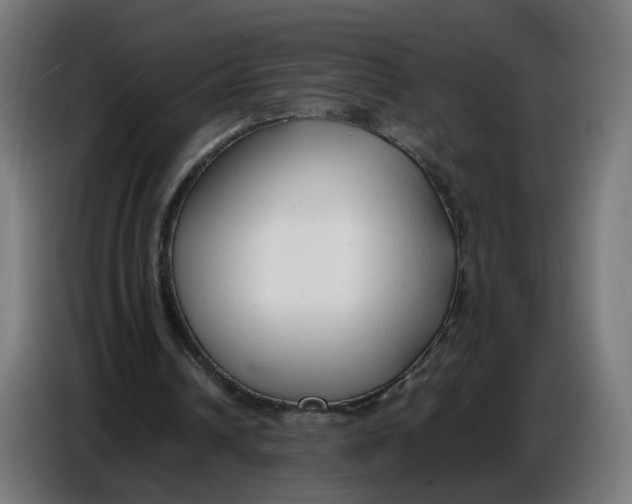 X0000086720242200705041333