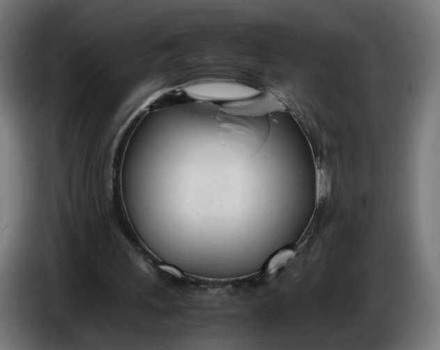 X0000086720243200705041333