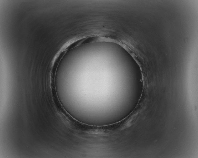 X0000086720244200705041333