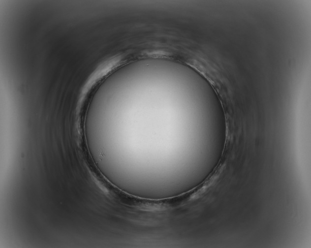 X0000086720245200705041333