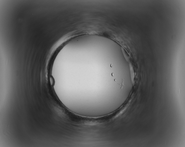 X0000086720246200705041333