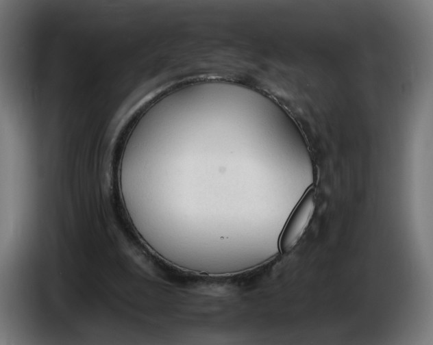 X0000086720247200705041333