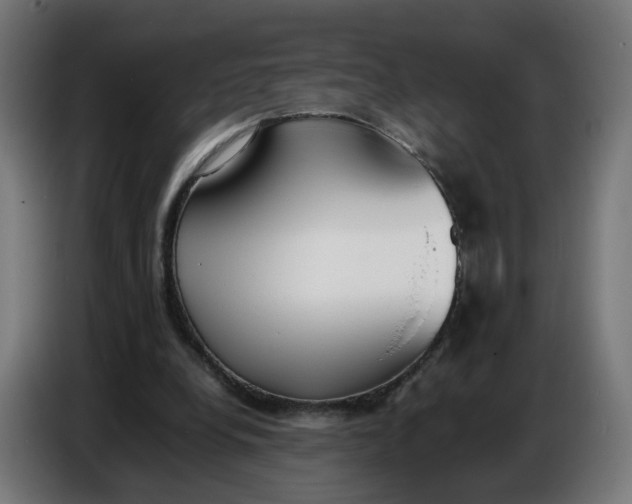 X0000086720248200705041333