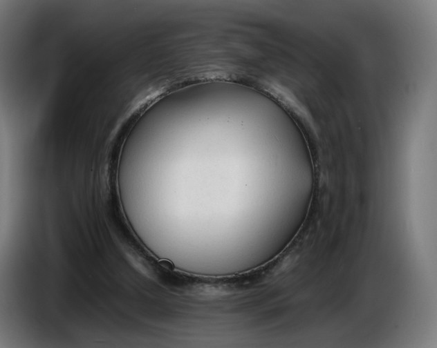X0000086720250200705041333