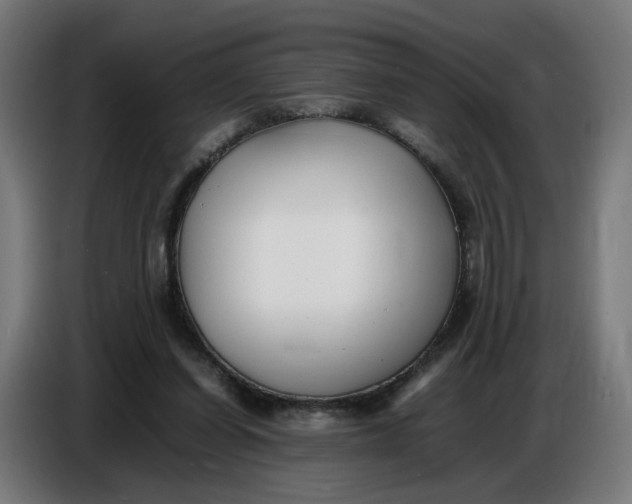X0000086720254200705041333