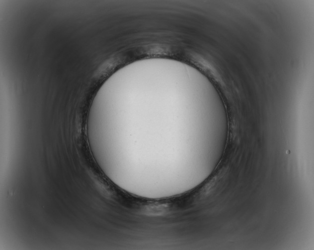 X0000086720257200705041333