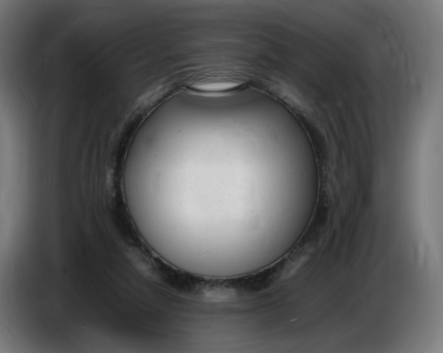 X0000086720258200705041333