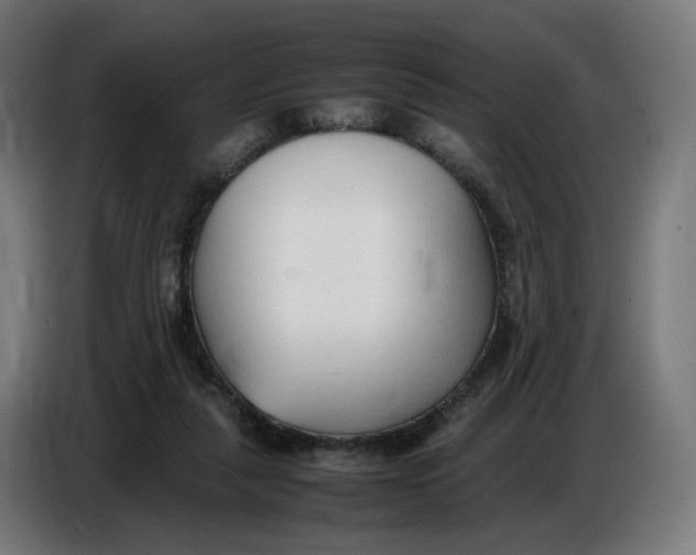 X0000086720259200705041333