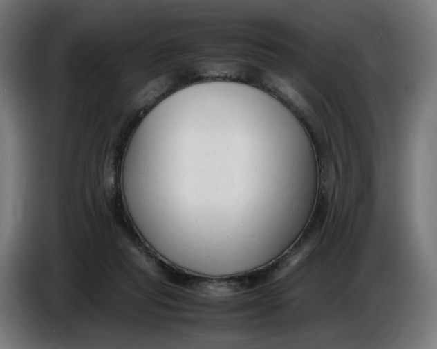 X0000086720261200705041333