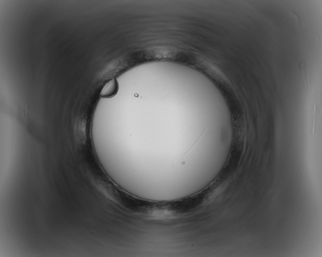 X0000086720262200705041333