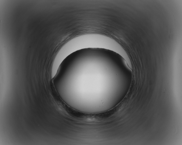 X0000086720264200705041333