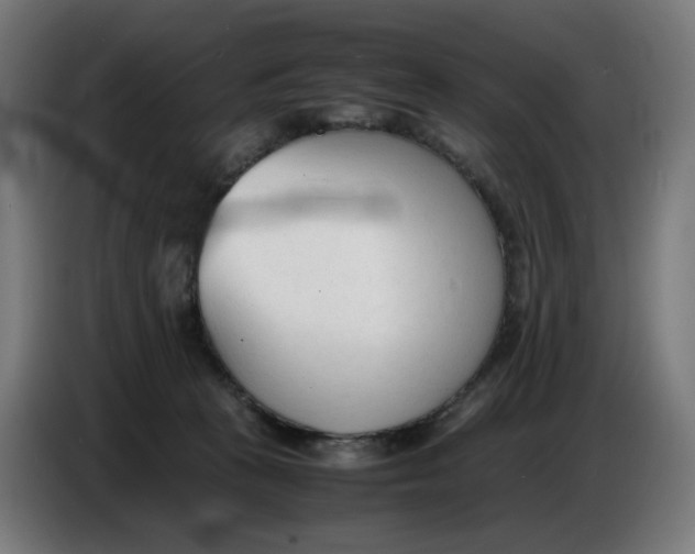 X0000086720273200705041333