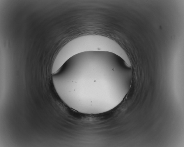 X0000086720276200705041333