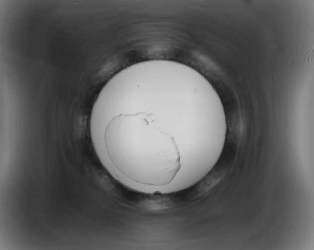X0000086720278200705041334