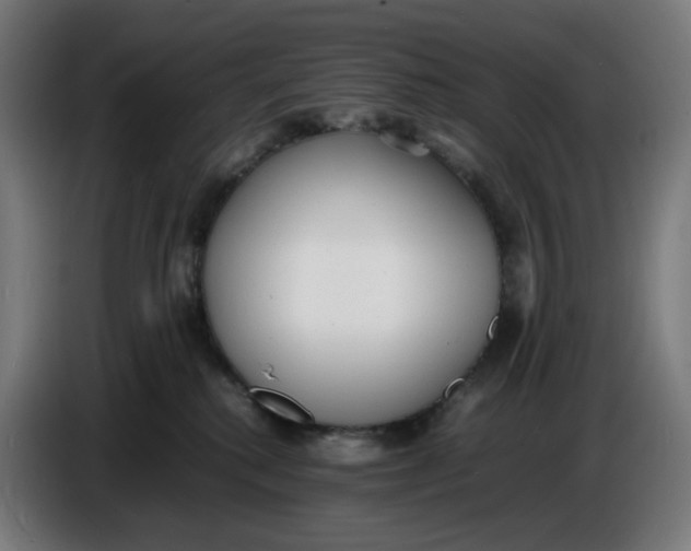 X0000086720280200705041334