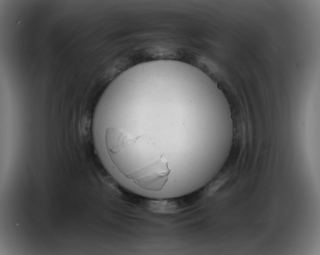 X0000086720281200705041334