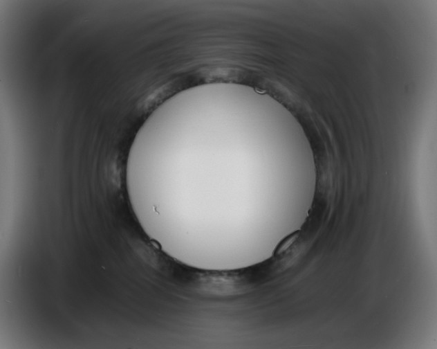 X0000086720282200705041334