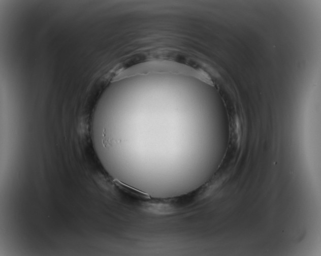X0000086720284200705041334