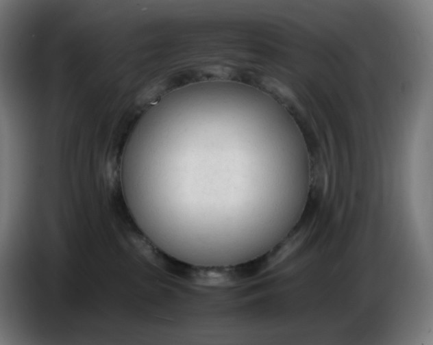 X0000086720285200705041334