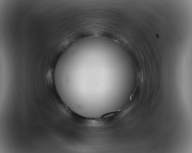 X0000086720286200705041334