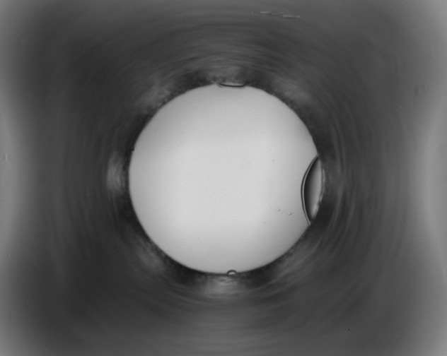 X0000086720287200705041334