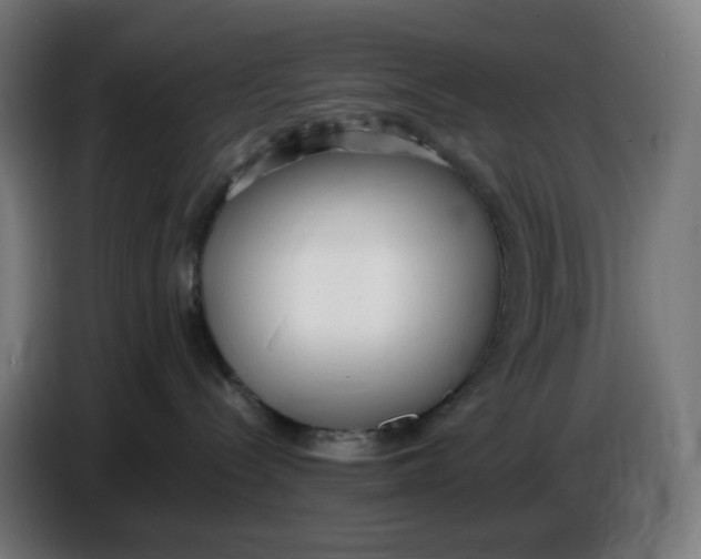 X0000086720288200705041334
