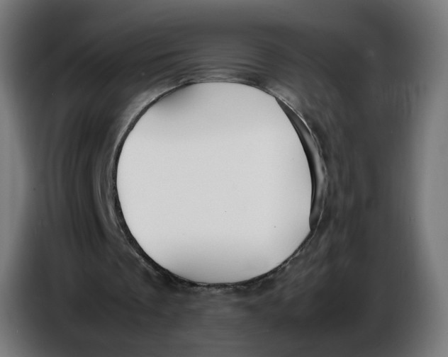 X0000086720289200705041333