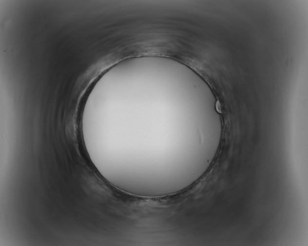 X0000086720290200705041333