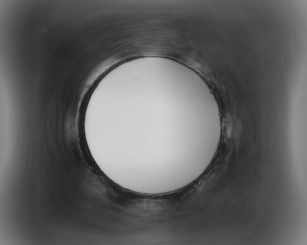X0000086720292200705041333