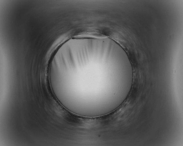 X0000086720293200705041333