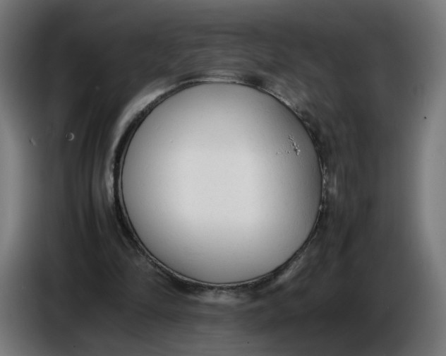 X0000086720294200705041333