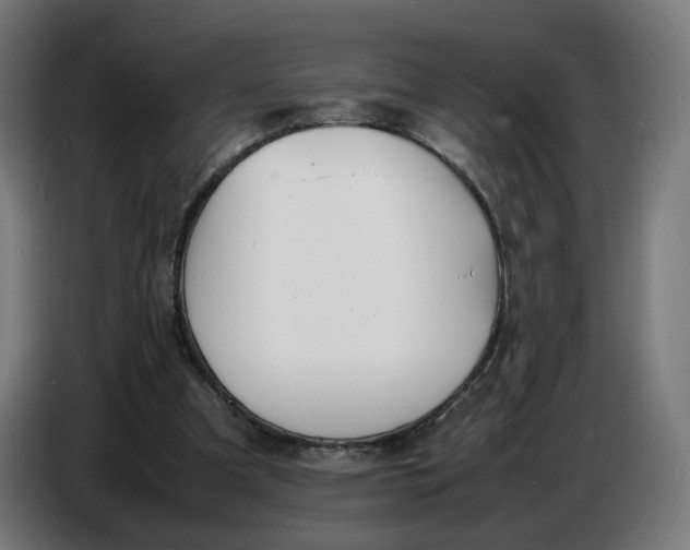 X0000086720297200705041333