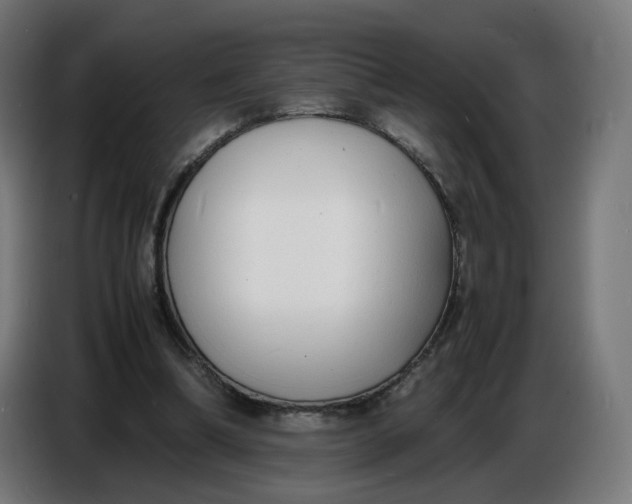 X0000086720298200705041333