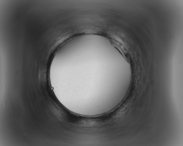X0000086720299200705041333
