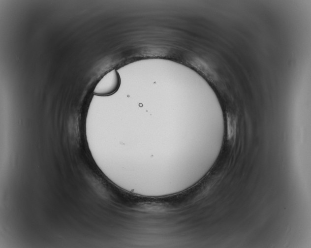 X0000086720300200705041333
