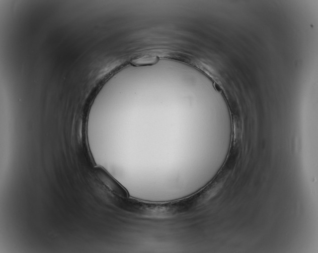 X0000086720301200705041333