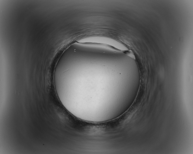 X0000086720303200705041333