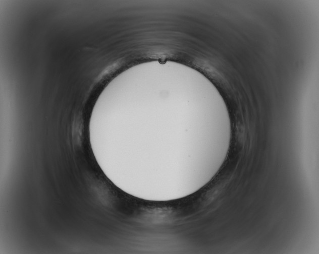 X0000086720304200705041333