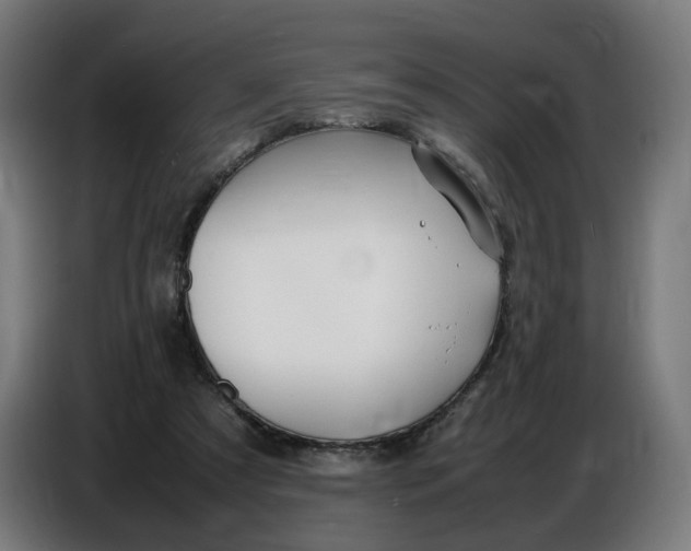 X0000086720305200705041333
