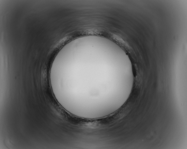 X0000086720306200705041333